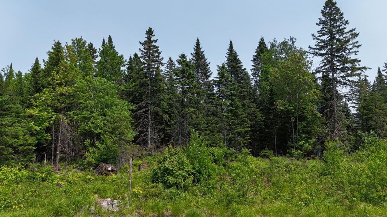 Rte 329, Mille-isles, QC for sale Primary Photo- Image 1 of 1