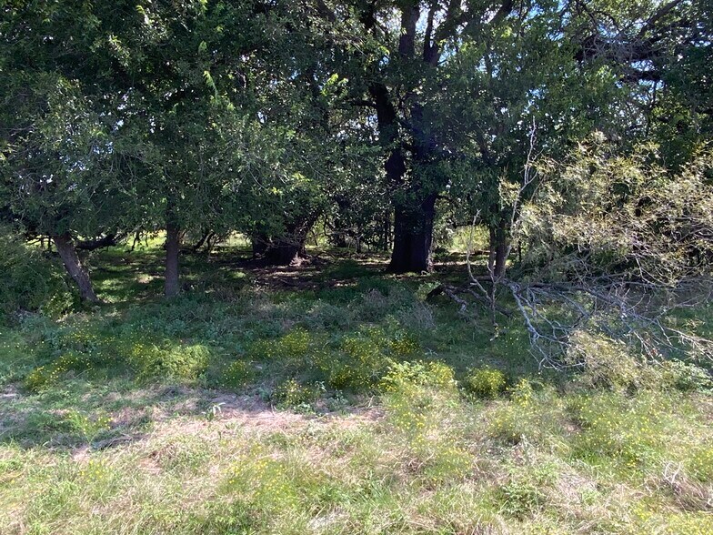 TBD County Road 396, Carlton, TX à vendre - Autre - Image 3 de 32