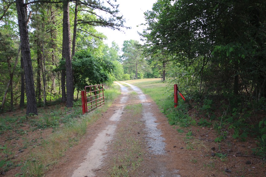 203 Firetower Rd, Cusseta, GA à vendre - Photo du bâtiment - Image 1 de 1