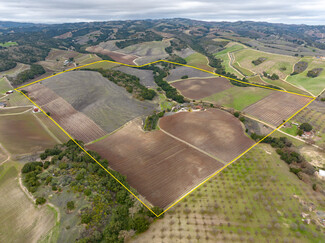 Plus de détails pour 2137 Live Oak Rd, Paso Robles, CA - Terrain à vendre