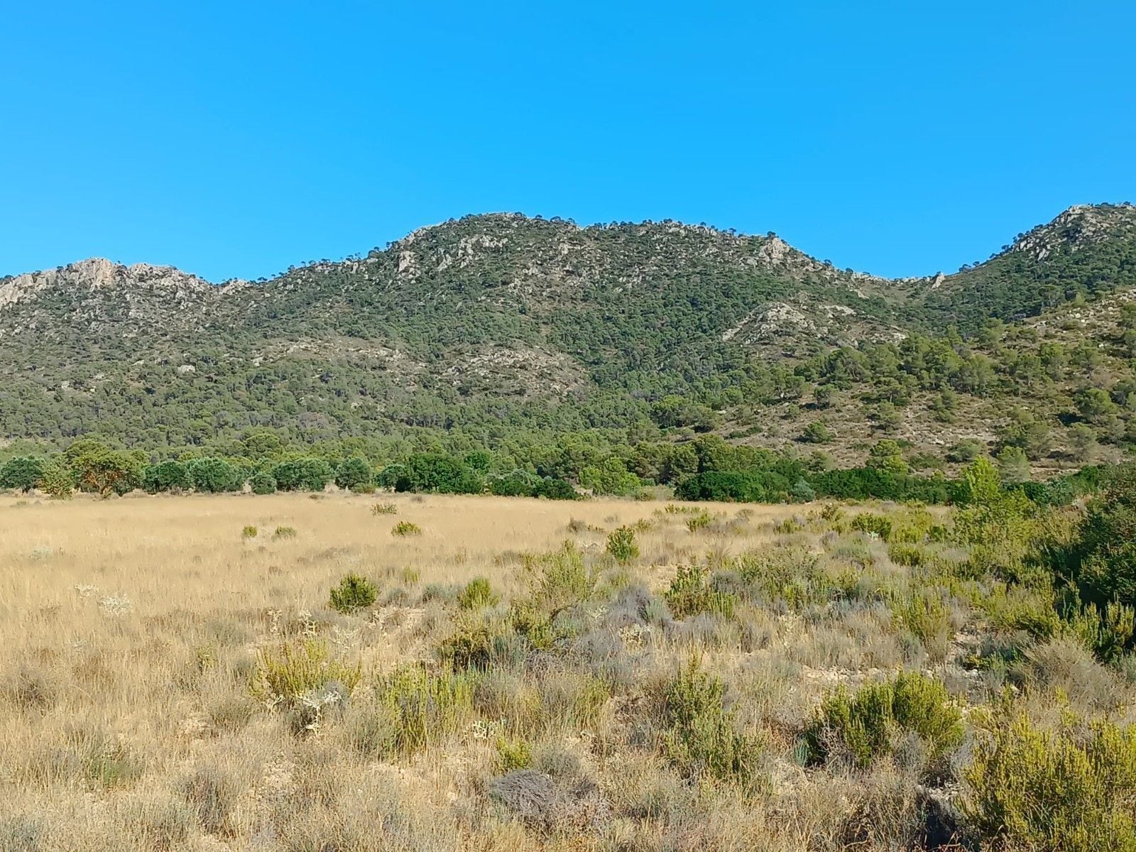 Terrain dans Yecla, Murcia à vendre Aérien- Image 1 de 4