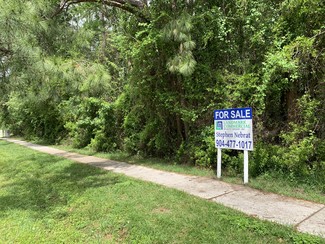 Plus de détails pour CR 220 & Hollars Pl, Middleburg, FL - Terrain à vendre