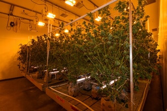 3241 Needles Hwy, Needles, CA à louer Photo intérieure- Image 2 de 5