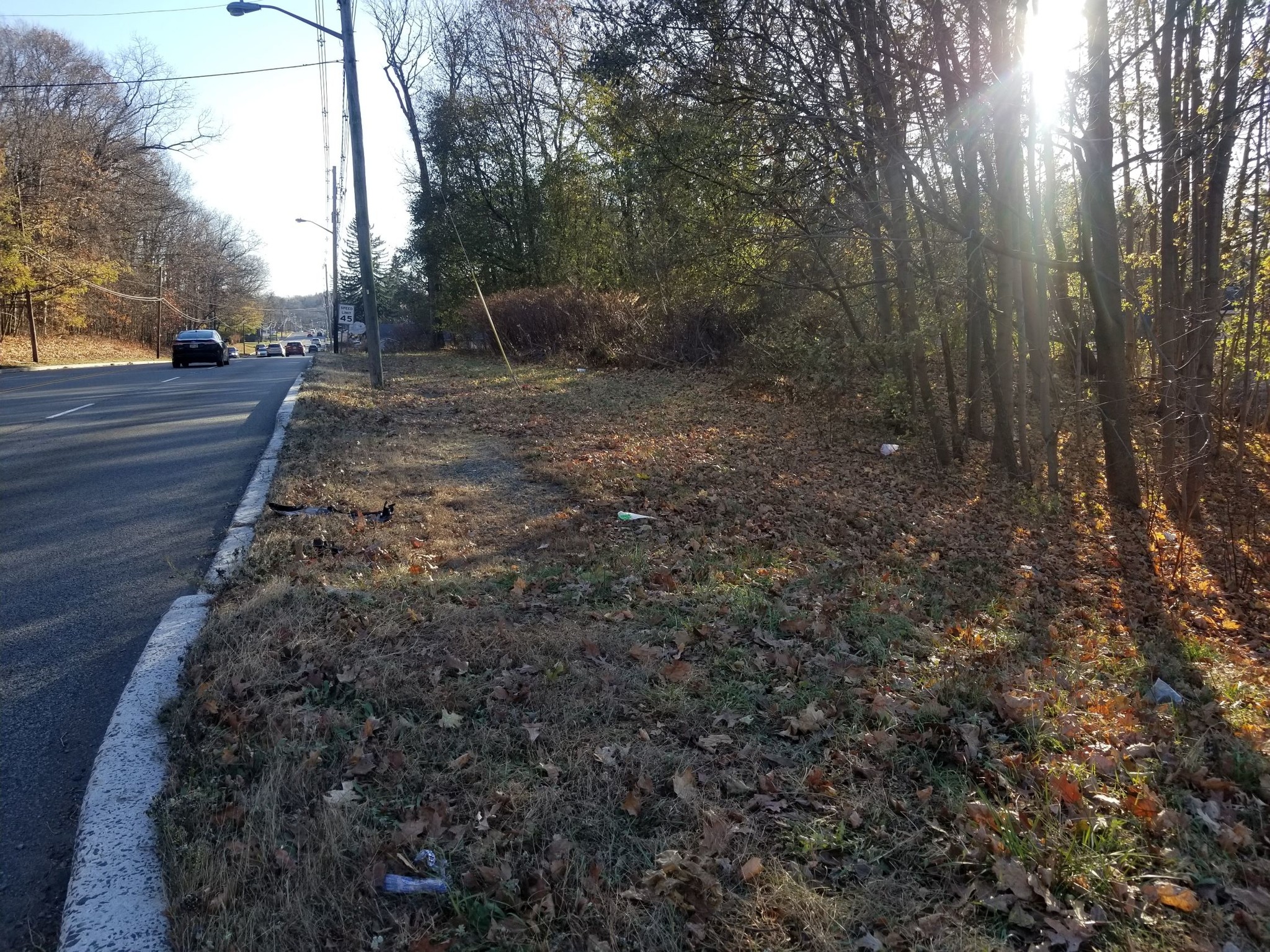 6A Forest Rd, Budd Lake, NJ for sale Primary Photo- Image 1 of 1