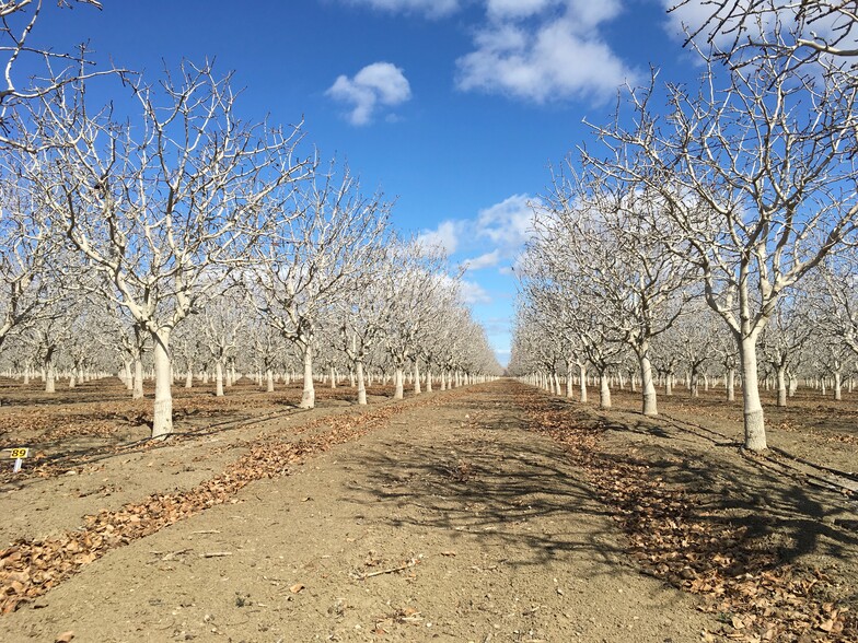 California ave, Firebaugh, CA for sale - Other - Image 1 of 1