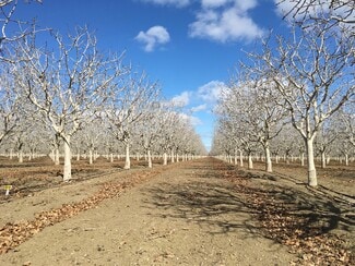 More details for California ave, Firebaugh, CA - Land for Sale