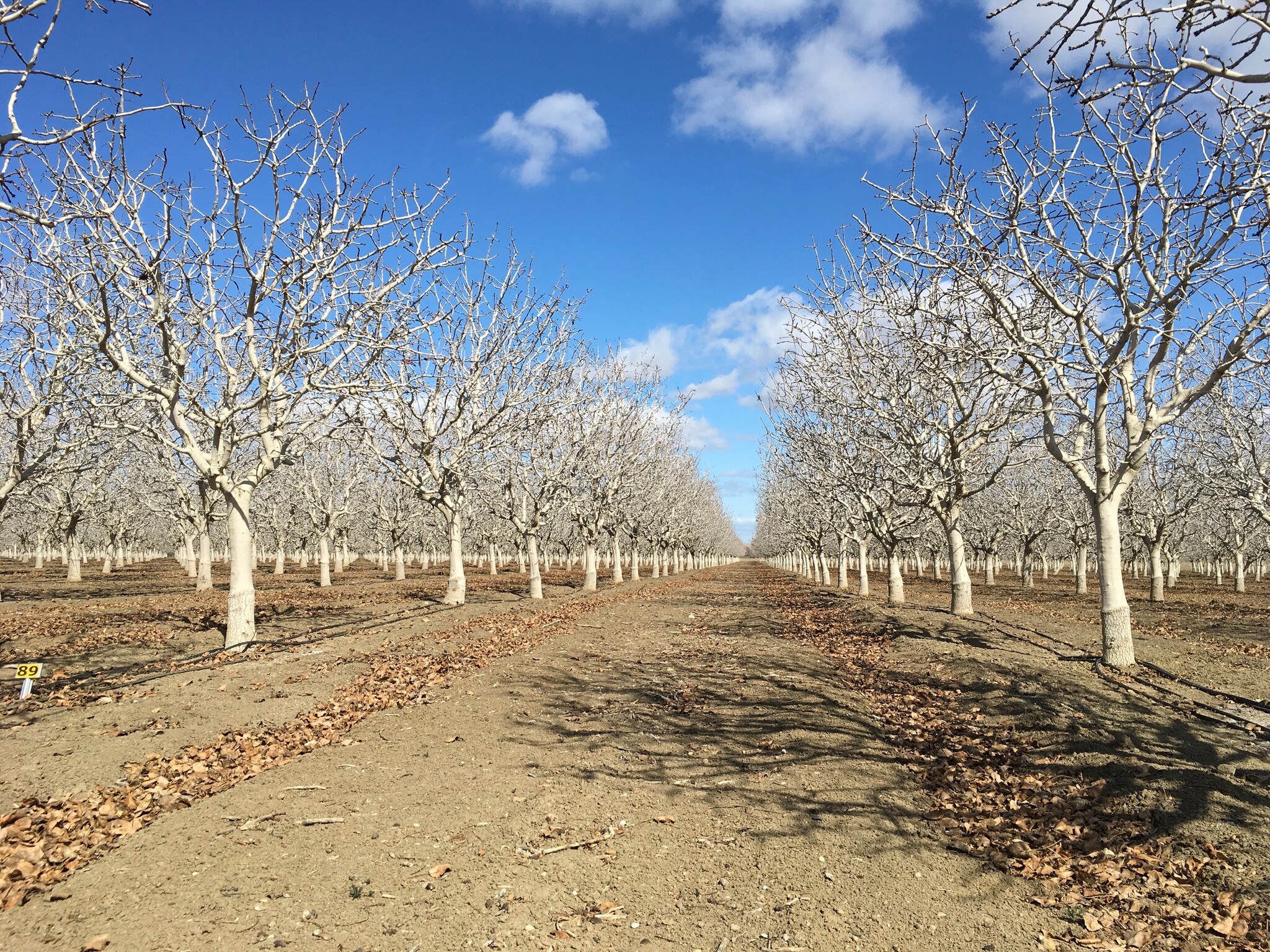 California ave, Firebaugh, CA for sale Other- Image 1 of 2