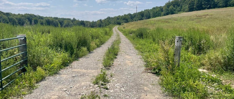 5342 State Route 492, Susquehanna, PA à vendre - Photo du bâtiment - Image 1 de 1