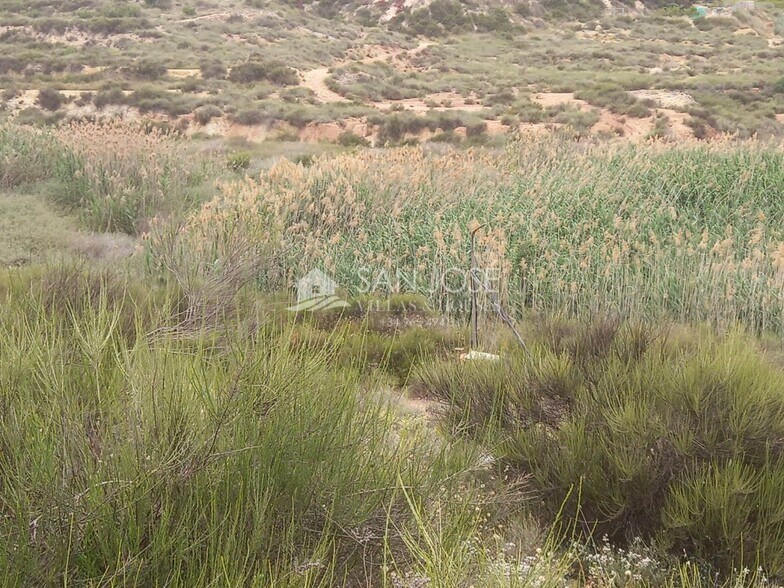 Land in Novelda, Alicante for sale - Primary Photo - Image 2 of 17