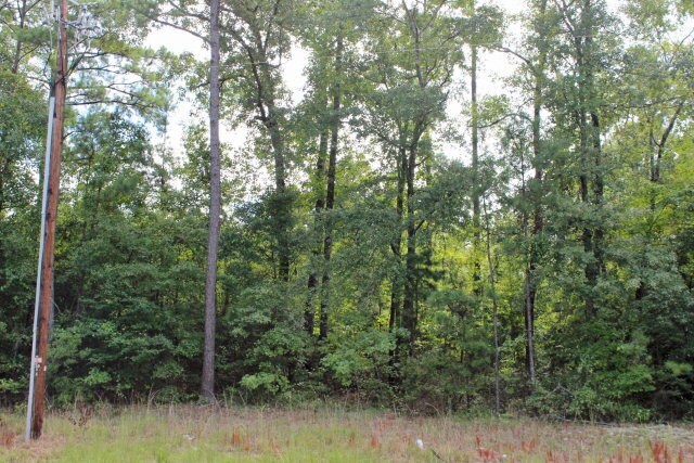 7100 Jamesson Ct, Columbus, GA à vendre - Photo principale - Image 2 de 5