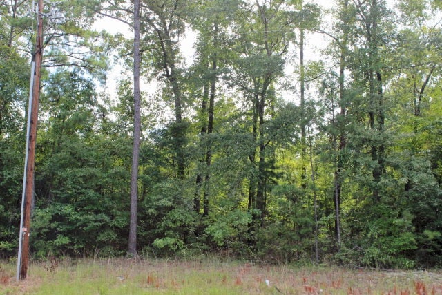 7100 Jamesson Ct, Columbus, GA for sale - Primary Photo - Image 2 of 5