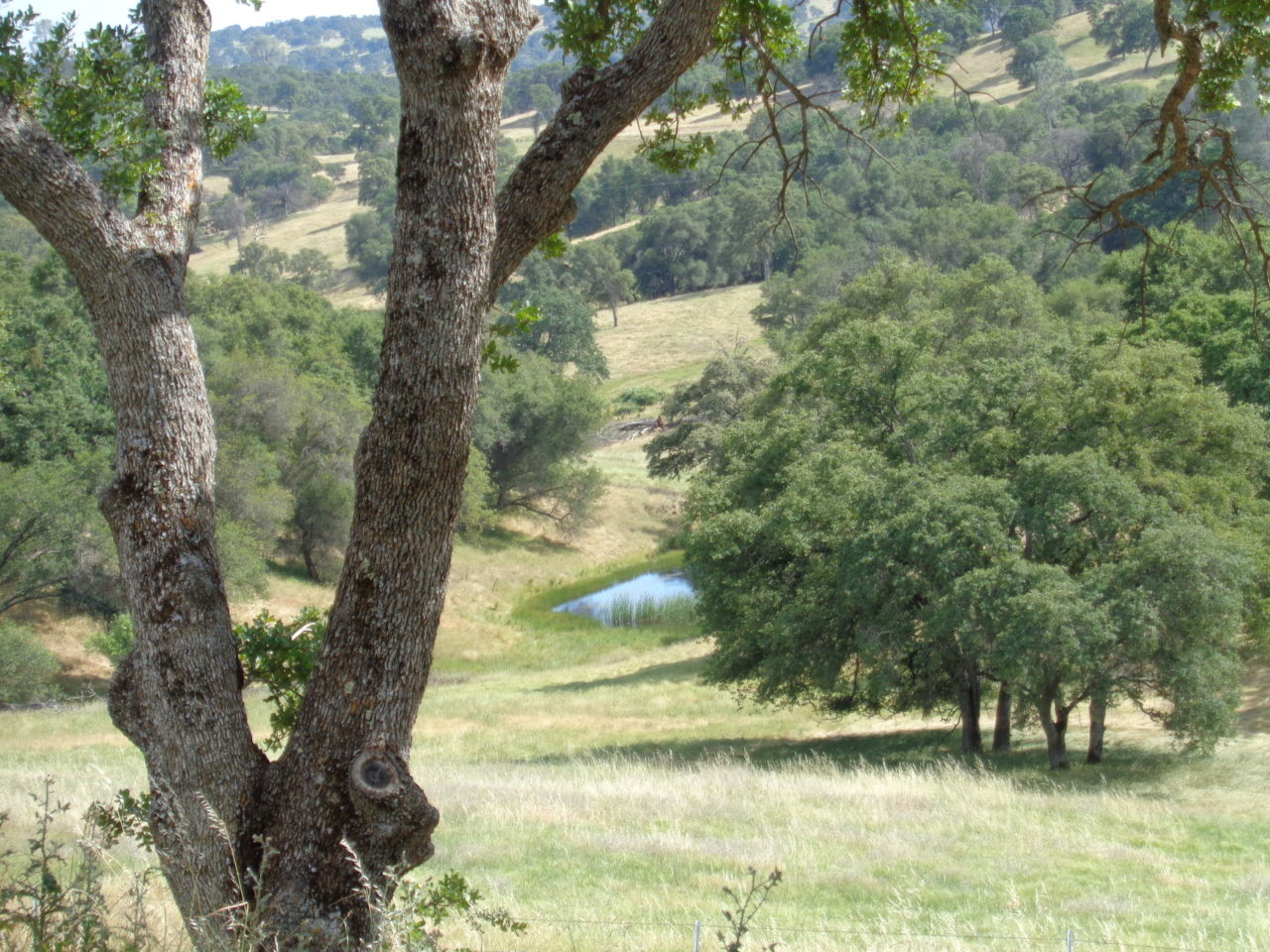 22445 Perimeter Rd, Grass Valley, CA for sale Primary Photo- Image 1 of 1