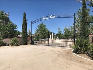 Plus de détails pour 10291 Deep Creek Rd, Apple Valley, CA - Terrain à vendre