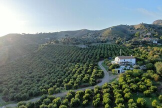 More details for Land for Sale