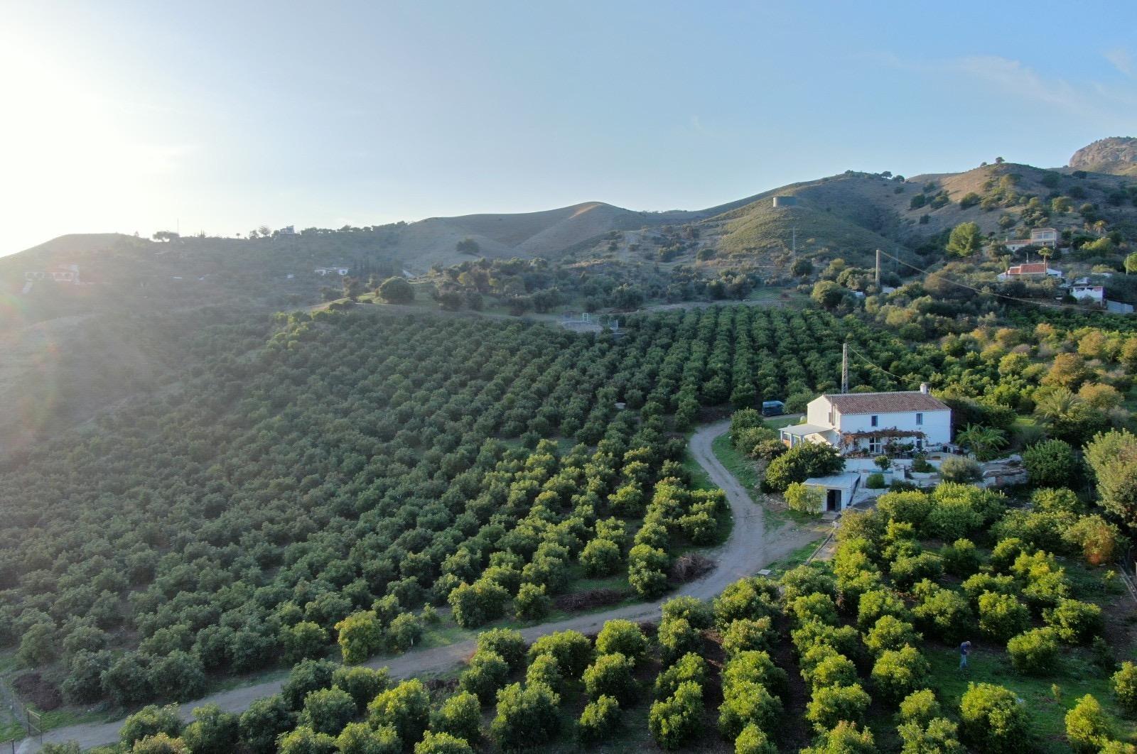 Terrain dans Álora, Málaga à vendre Photo du bâtiment- Image 1 de 16