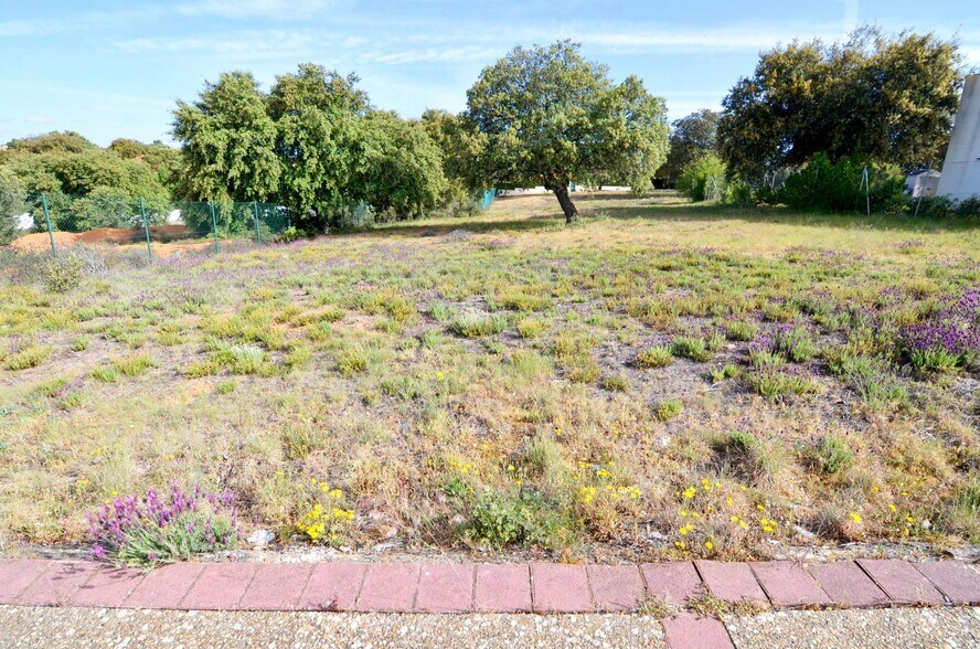 Calle Manuel Herrera, 37, Carrascal de Barregas, Salamanca for sale - Building Photo - Image 3 of 12