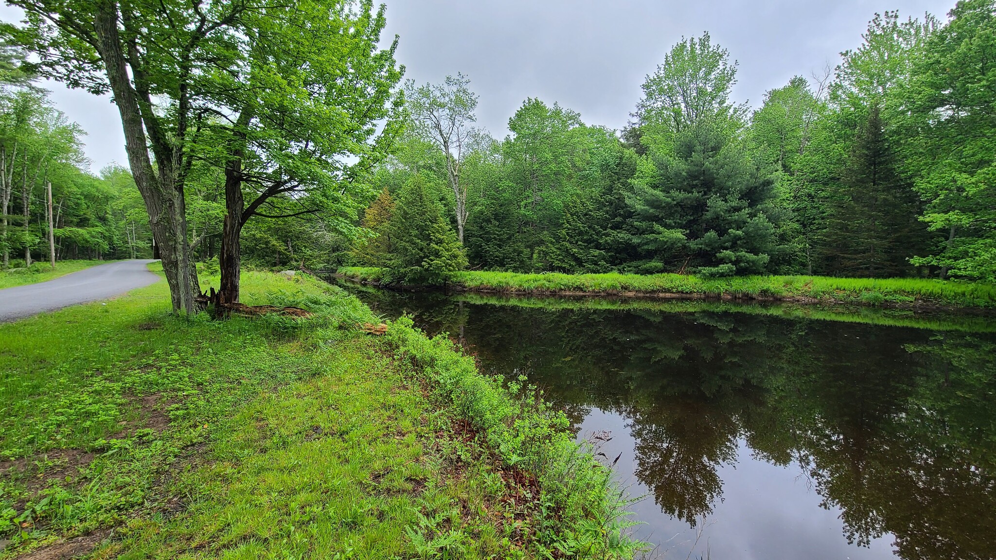 384 Dingle Daisy Rd, Monticello, NY for sale Other- Image 1 of 9