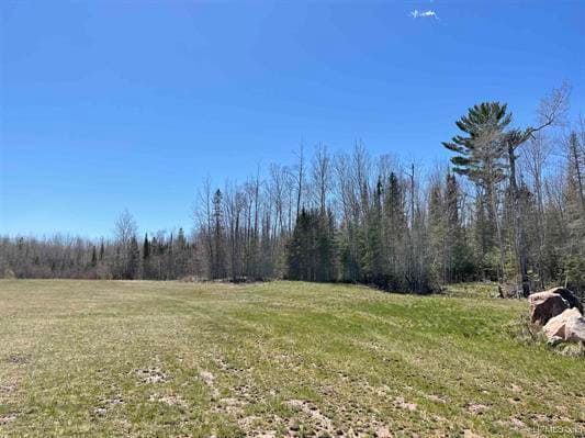 TBD Michigan 28, Deerton, MI for sale - Building Photo - Image 2 of 3