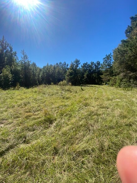 259 Interstate View Drive, Ridgeville, SC for sale - Primary Photo - Image 1 of 3