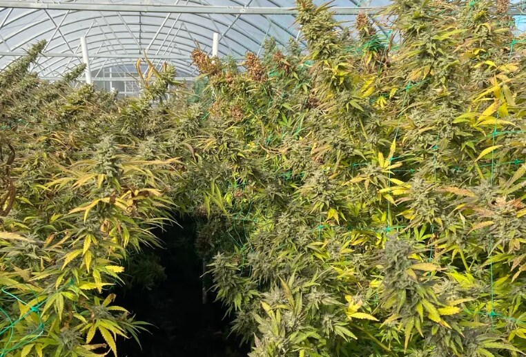 186 W Howard St, Breedsville, MI for sale - Building Photo - Image 3 of 16