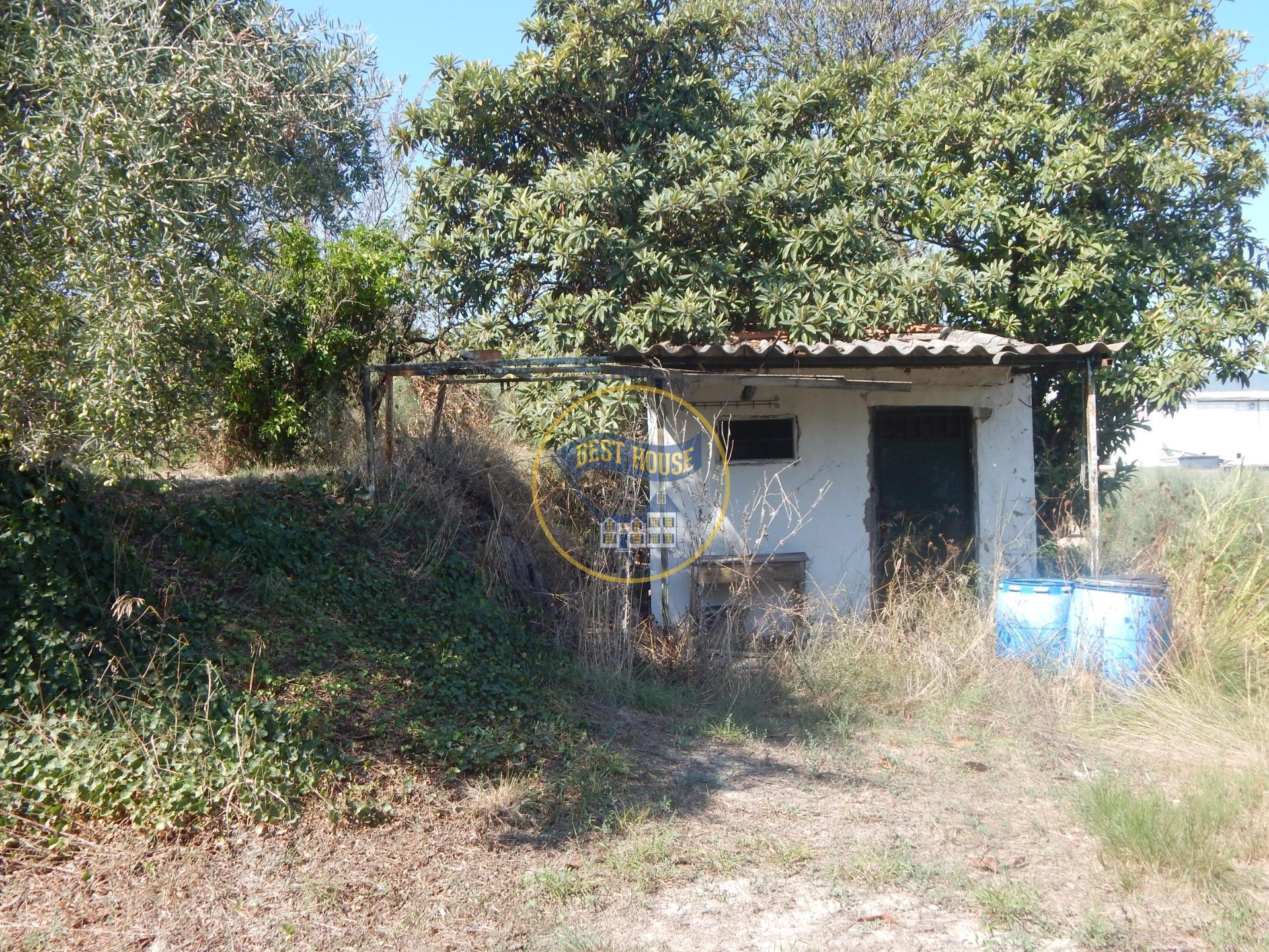 Land in Ontinyent, Valencia for sale Primary Photo- Image 1 of 23