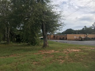 Plus de détails pour 3877 Hwy 17, Eastanollee, GA - Terrain à vendre