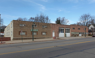 More details for 317 N Bridge St, Grand Ledge, MI - Industrial for Sale