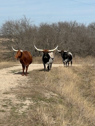 More details for 363 County Road 4403, Grandview, TX - Land for Sale