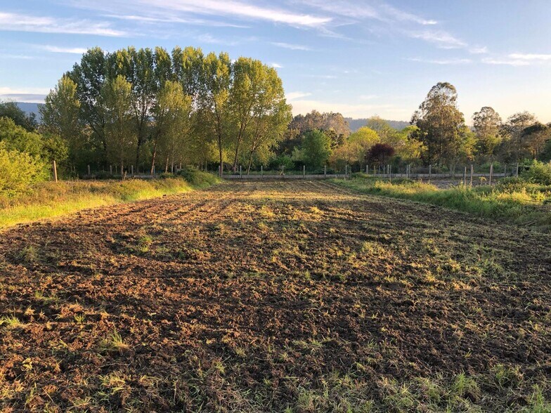 Terrain dans Meis, Pontevedra à vendre - Photo du bâtiment - Image 2 de 19