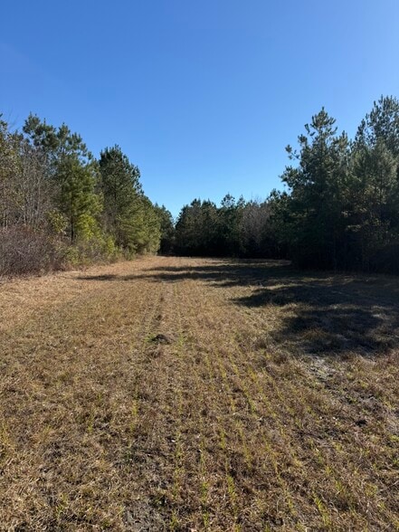 0 Sniders Hwy, Walterboro, SC for sale - Building Photo - Image 2 of 8