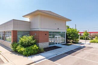 Plus de détails pour 140 Hansen Blvd, North Aurora, IL - Médical à louer