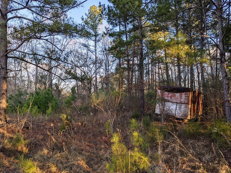 Highway 280 & Highway, Abbeville, GA à vendre - Photo du bâtiment - Image 3 de 13