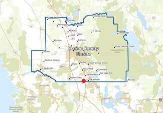 Plus de détails pour 6015 SE 177th Pl, Summerfield, FL - Terrain à vendre