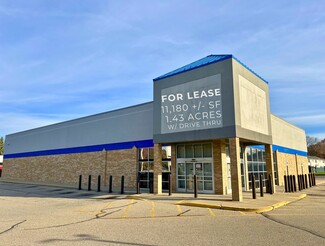 Plus de détails pour 2910 Pine Grove Ave, Port Huron, MI - Vente au détail à louer