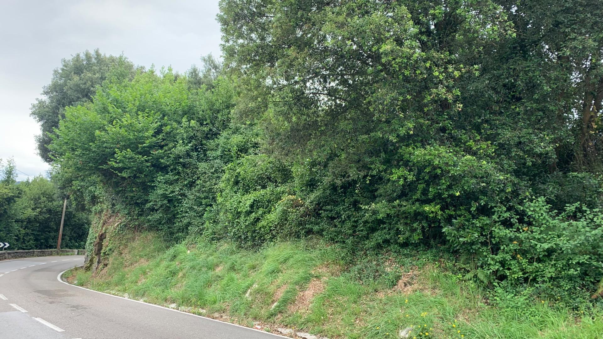 Land in Piélagos, Cantabria for sale Building Photo- Image 1 of 5