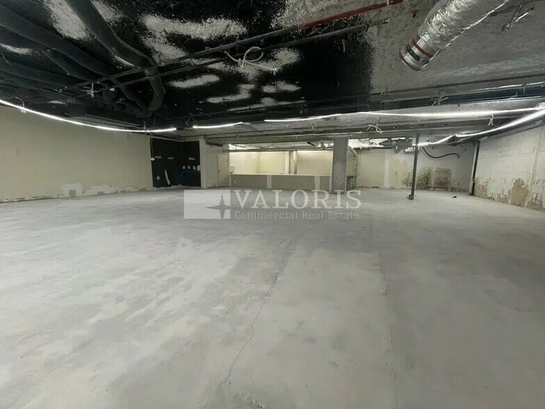 16 Rue Général Mouton-Duvernet, Lyon for lease - Interior Photo - Image 3 of 8