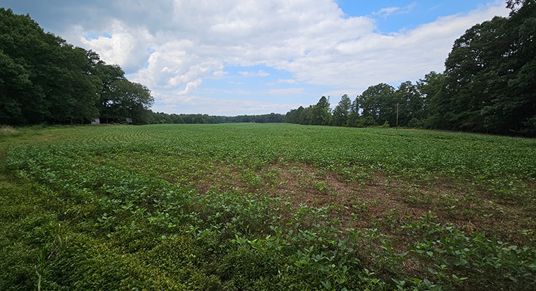 17471 Hewlett Rd, Beaverdam, VA à vendre - Photo du bâtiment - Image 2 de 4
