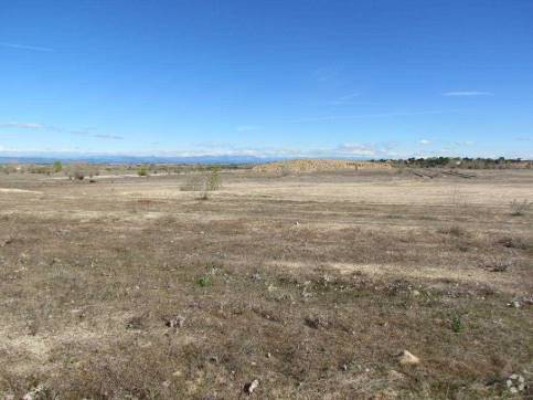 Camino Valdehornos, s/n, La Torre de Esteban Hambrán, Toledo à vendre Photo principale- Image 1 de 2