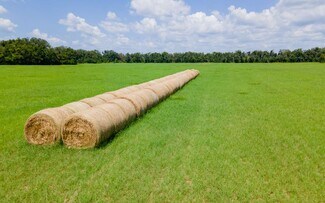 Plus de détails pour 165th Rd, Mcalpin, FL - Terrain à vendre