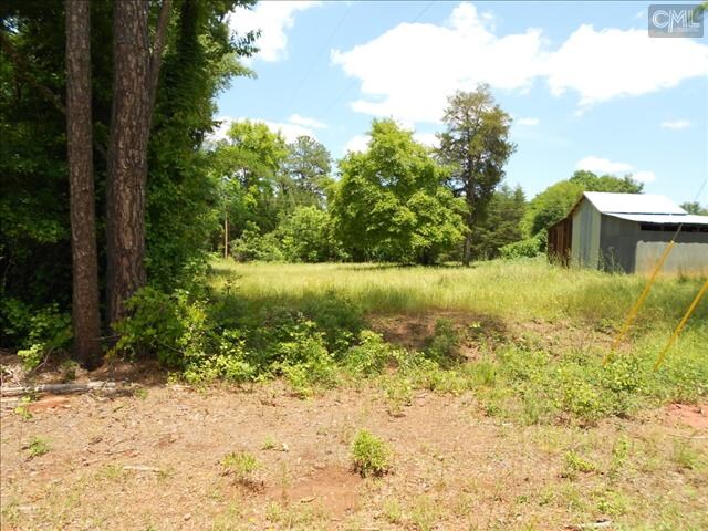 1 St. Peters Church Rd, Chapin, SC à vendre - Photo du bâtiment - Image 2 de 4