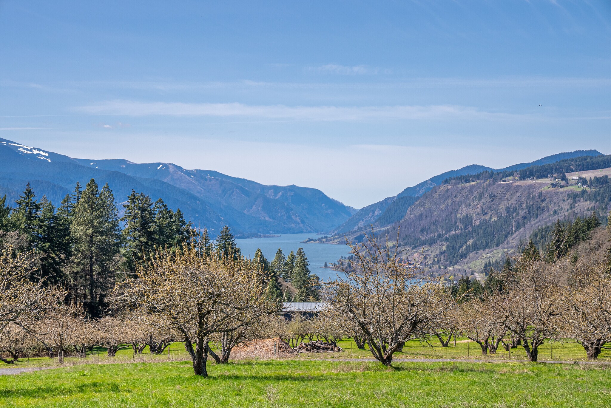 SW Cherry Blossom Lane, White Salmon, WA à vendre Photo principale- Image 1 de 12