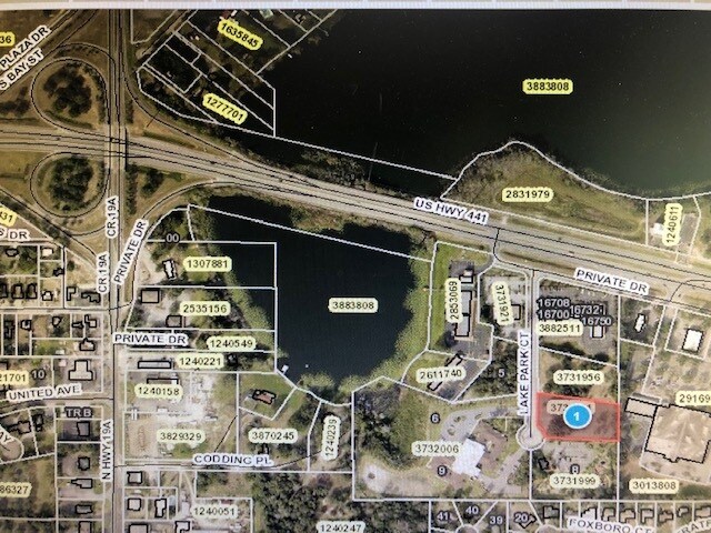 US HWY 441, Mount Dora, FL for sale - Building Photo - Image 3 of 5