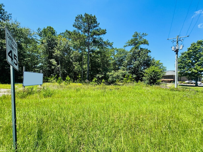 South Highway 441, Dublin, GA for sale - Building Photo - Image 2 of 6