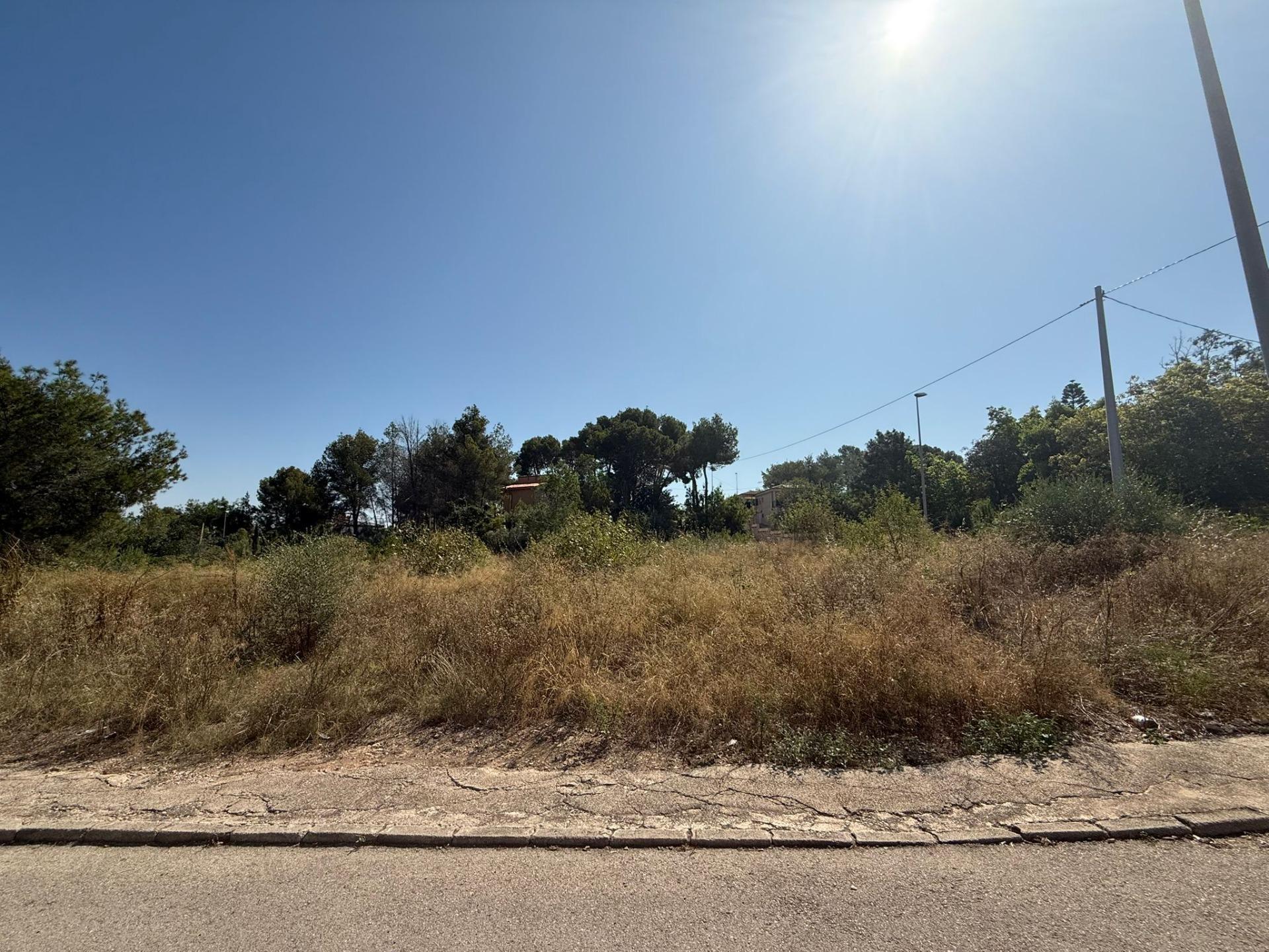 Land in Alberic, Valencia for sale Primary Photo- Image 1 of 9