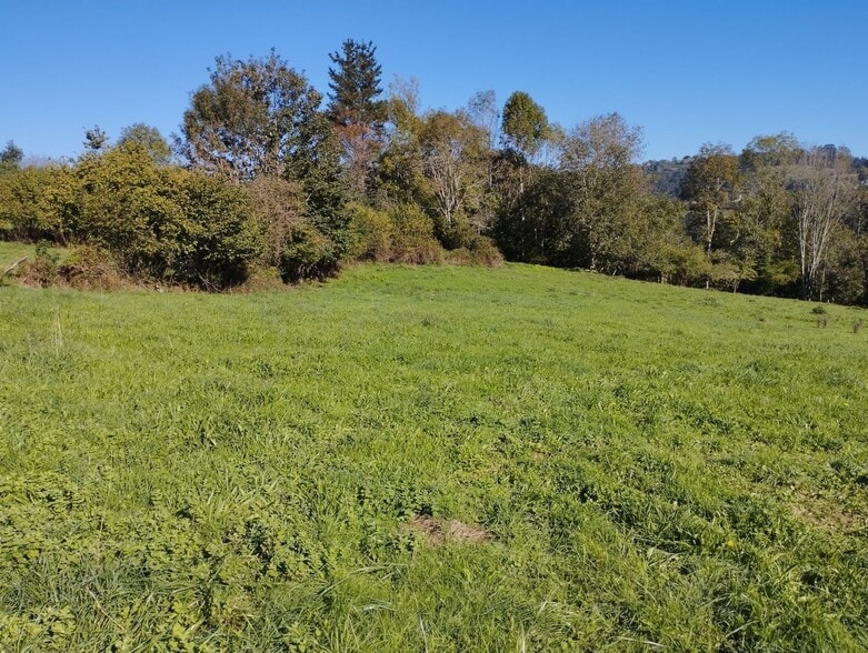 Barrio la Capilla, S/N, Nava, Asturias for sale - Building Photo - Image 3 of 31