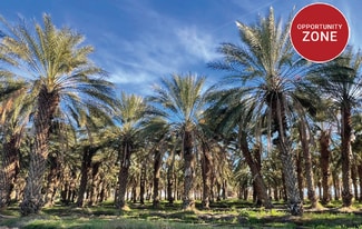 More details for 88961 64th Avenue, Thermal, CA - Land for Sale