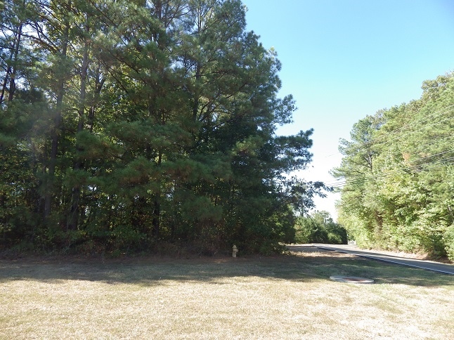 Holly Hills Rd $ Hwy 45 N, Columbus, MS for sale Building Photo- Image 1 of 1