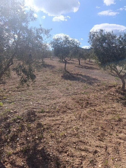 Land in Cehegín, Murcia for sale - Aerial - Image 3 of 13