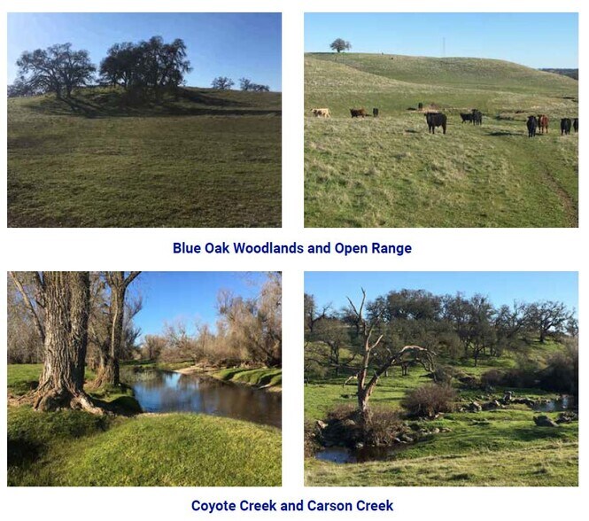 3000 Scott Rd, Folsom, CA à vendre - Autre - Image 2 de 3