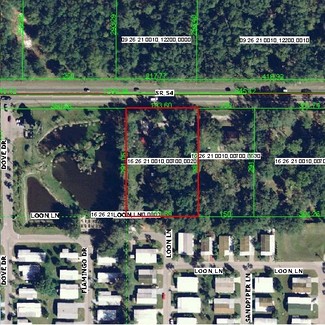 More details for 36122 SR 54, Zephyrhills, FL - Land for Lease